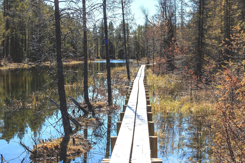 Naturschutzgebiet Tysjöarnas